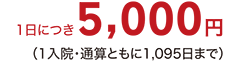 1日につき5,000円（1入院・通算ともに1,095日まで）