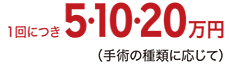 1回につき5･10･20万円（手術の種類に応じて）