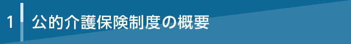 1 公的介護保険制度の概要
