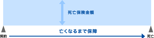 終身死亡保険の説明図