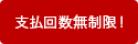 支払回数無制限！