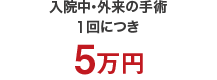 入院中･外来の手術1回につき 5万円