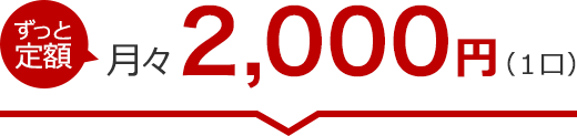 ＜ずっと定額＞月々2,000円(1口)